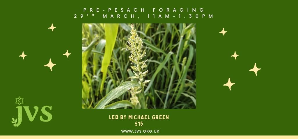 Pre-pesach foraging 29th March