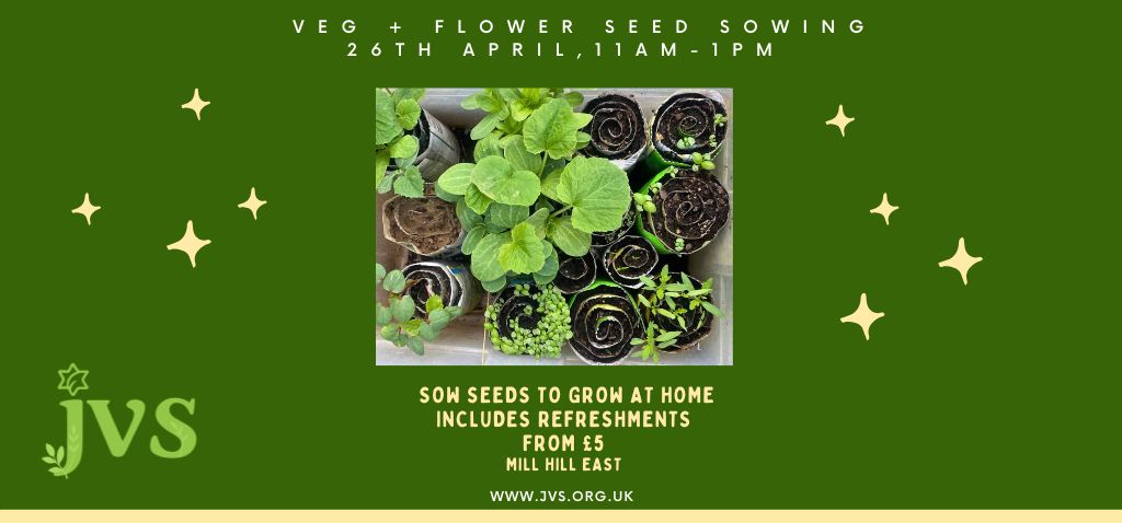 Veg and flower seed sowing 